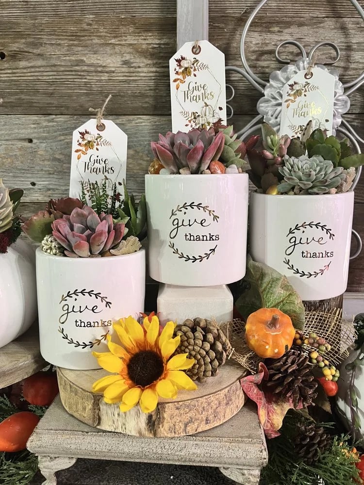 Rooted Treasures Succulents image