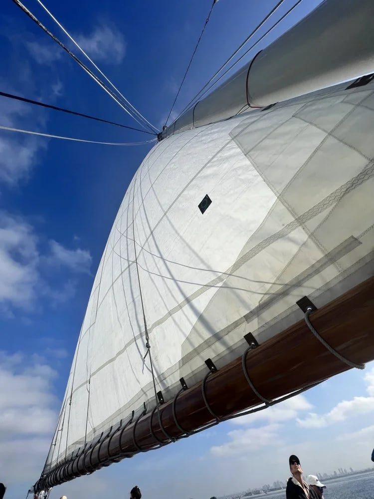 Next Level Sailing image