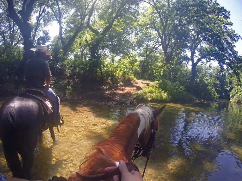 Texas Trail Rides image