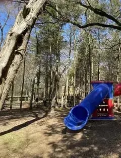 Trinity Forest Adventure Park