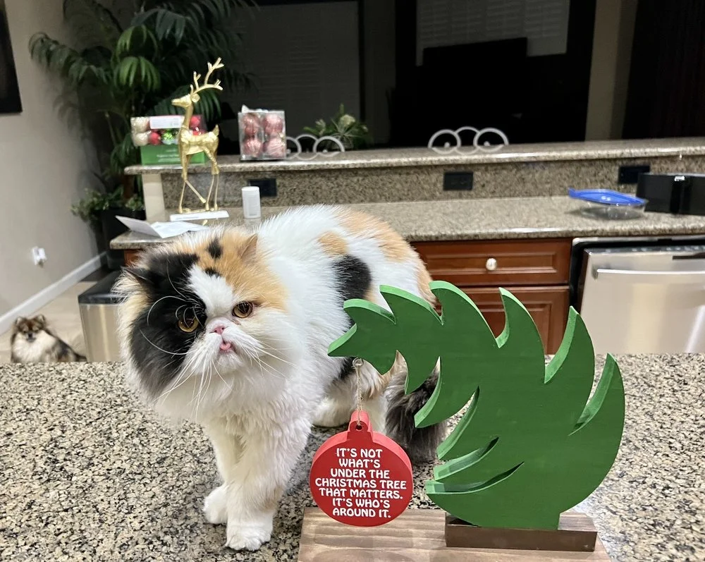 She’s Crafty image