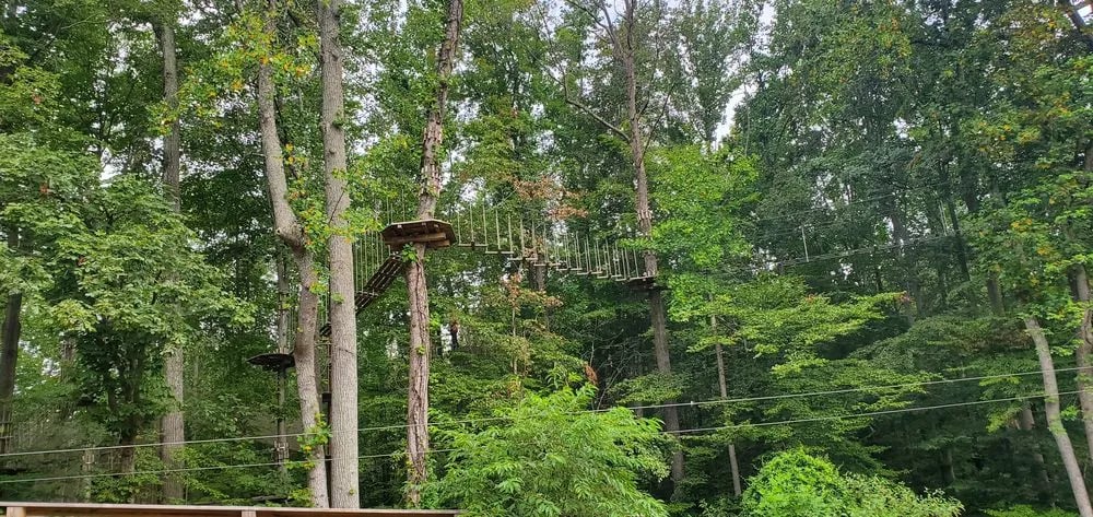 Go Ape Zipline & Adventure Park image