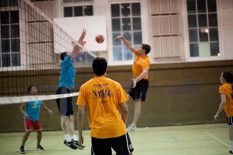 ZogSports image