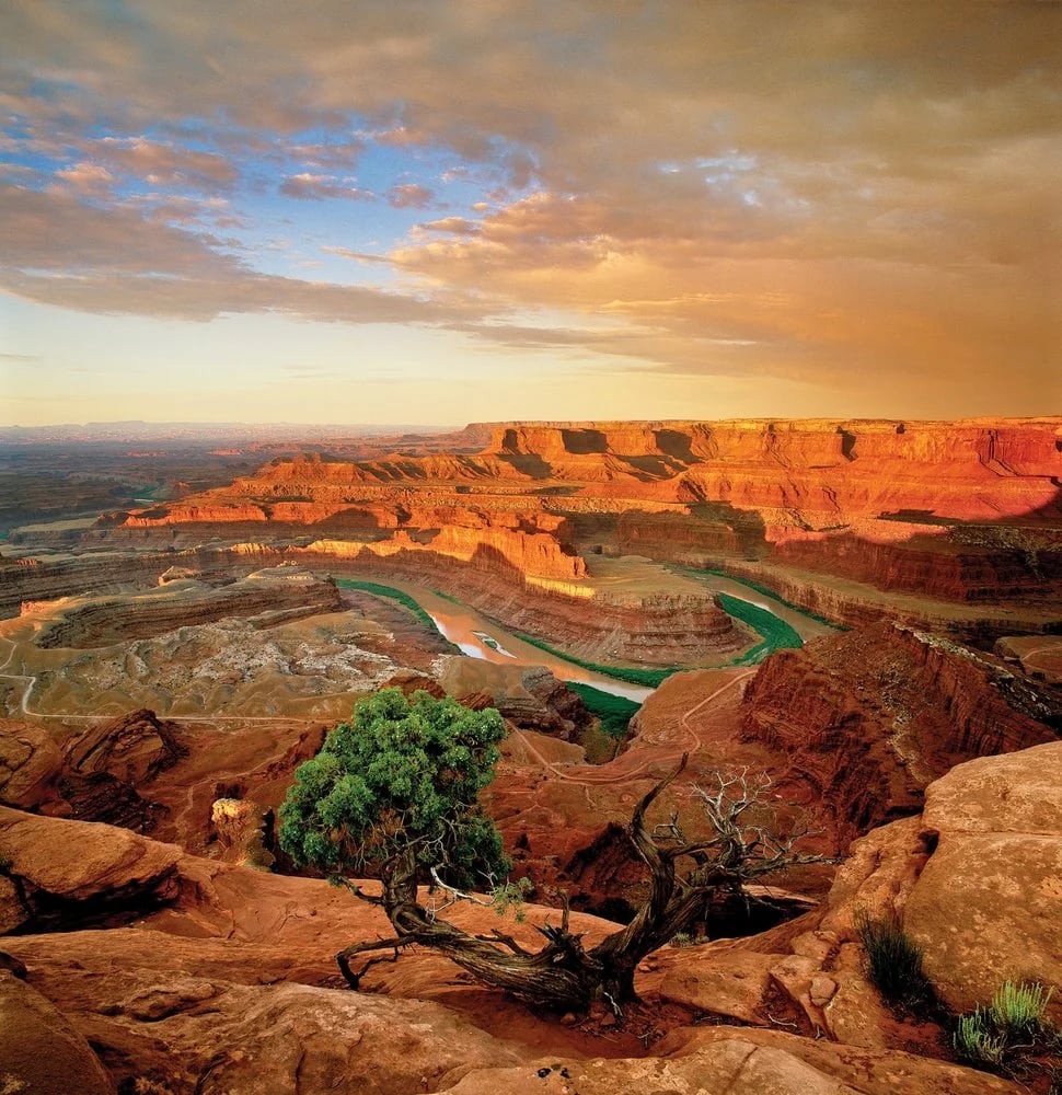 Western River Expeditions image