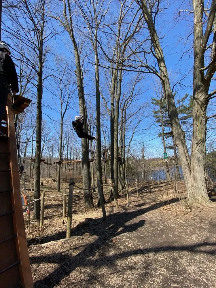 Treetop Trekking image