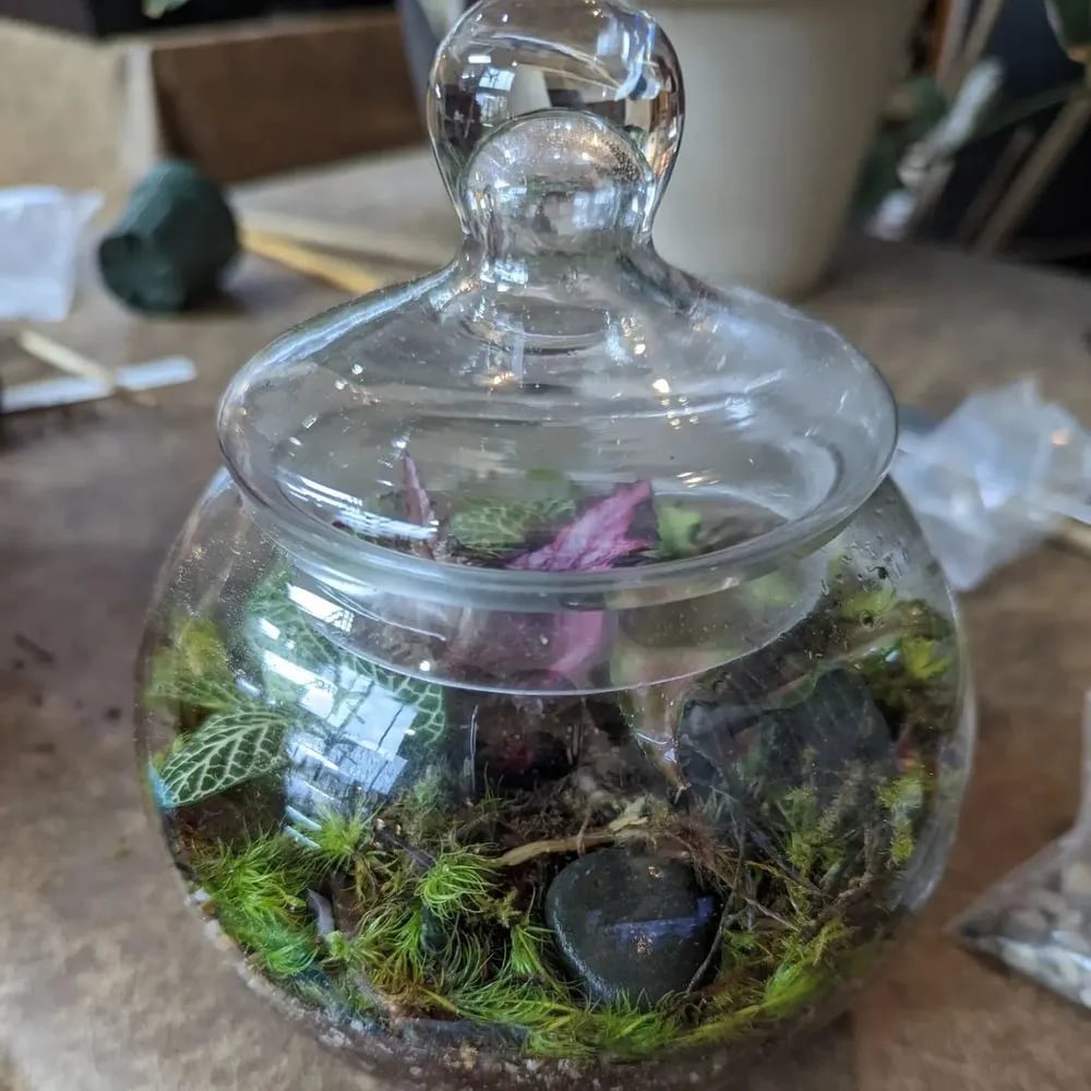 Roosevelt's Terrariums image