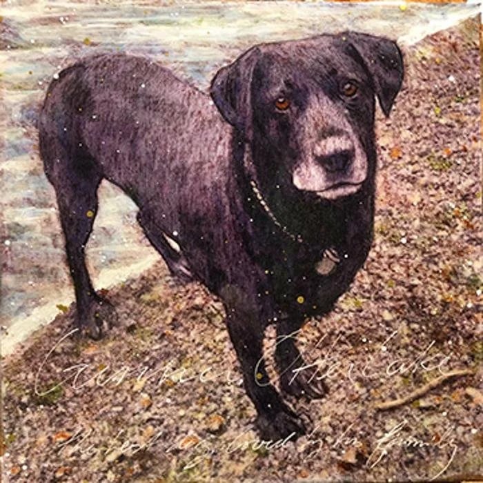 Sonya Iwasiuk Art Studio image