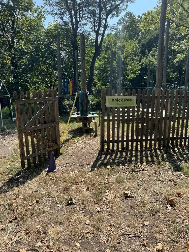 Treetop Quest Philly image