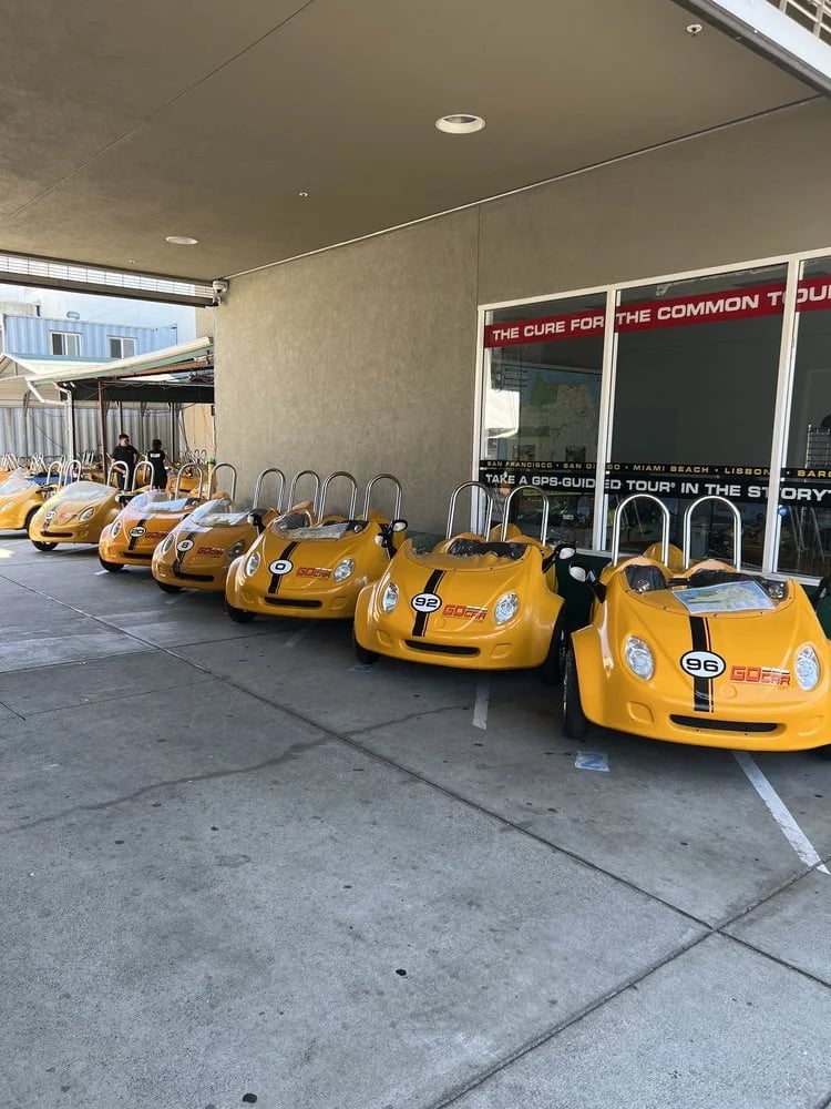 GoCar Tours image