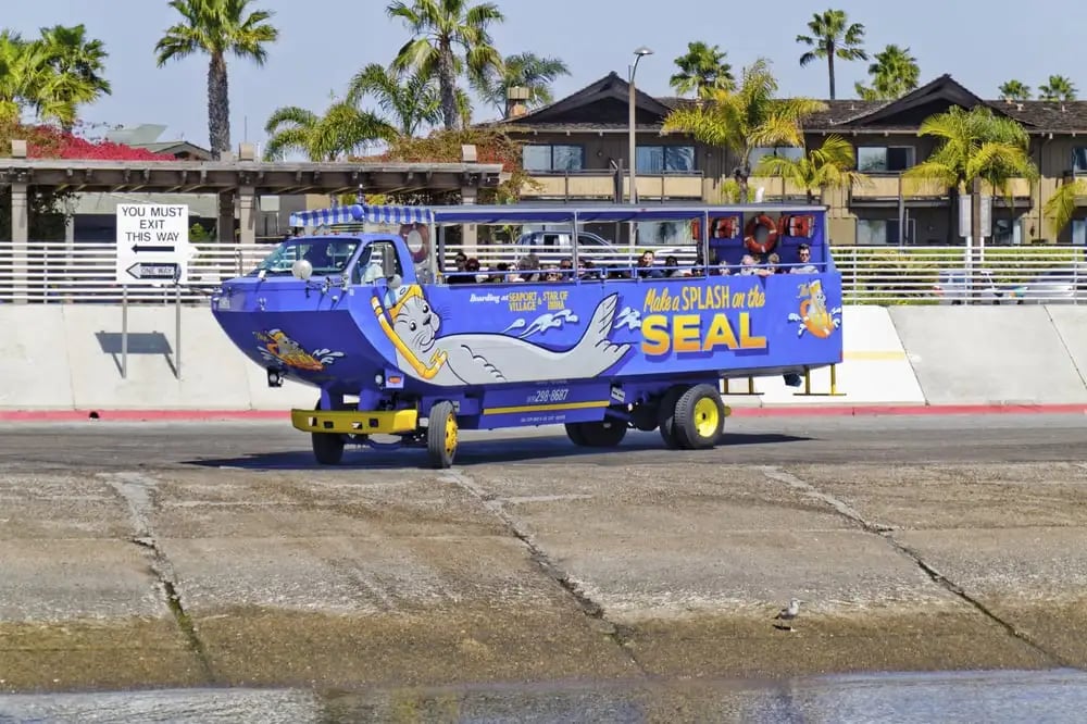 San Diego Seal Tour image