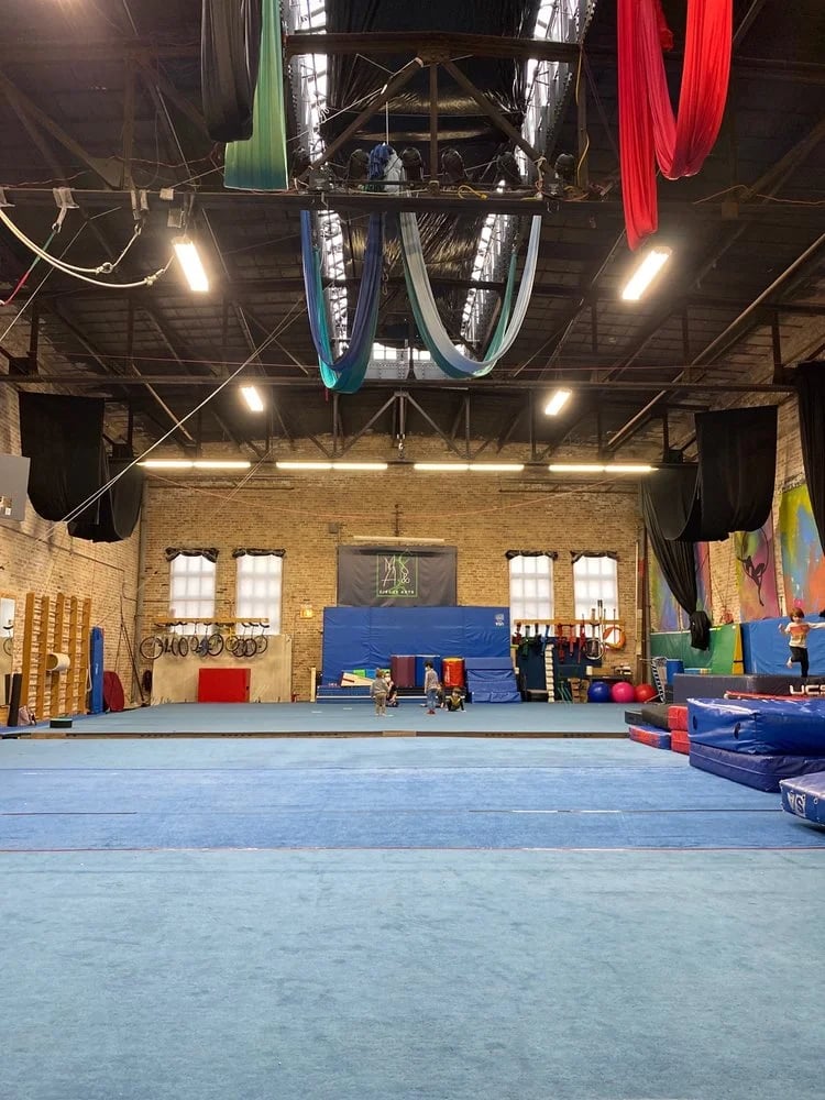MSA & Circus Arts image