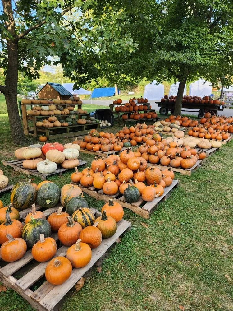 Gorman Heritage Farm image