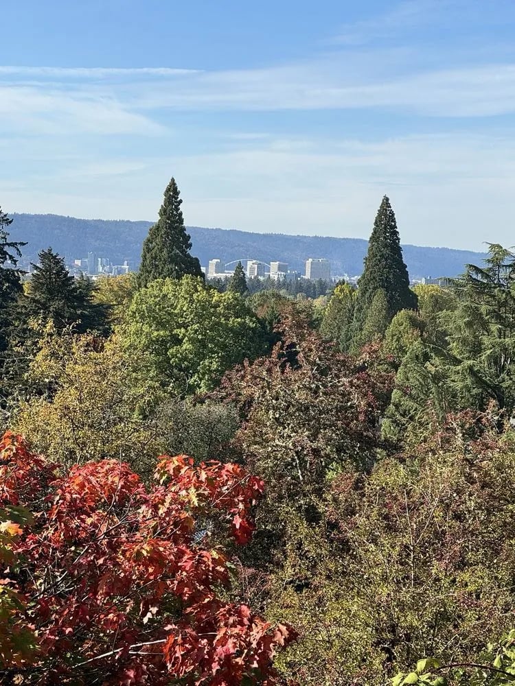 First Nature Tours image