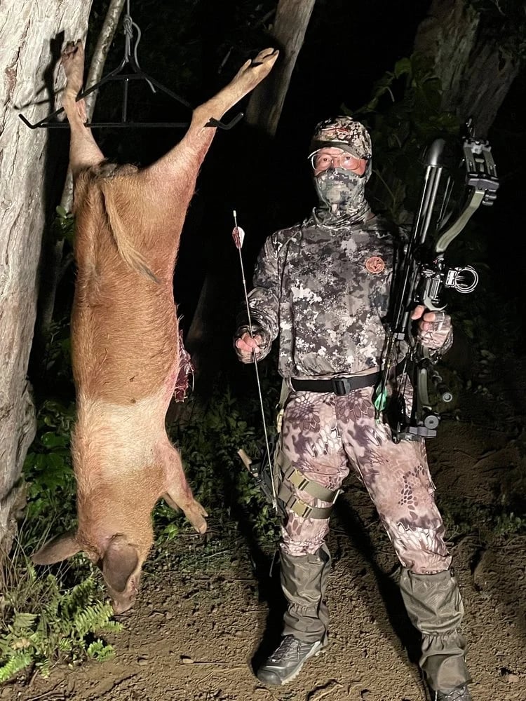 Performance Archery image