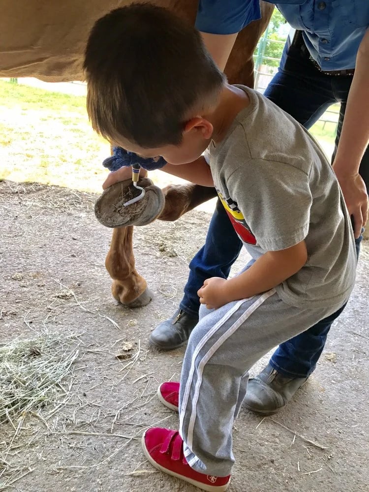Texas Trail Rides image