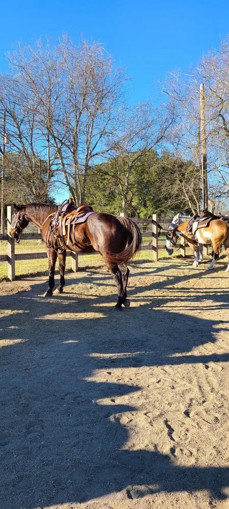 Lone Star Ranch & Rodeo image