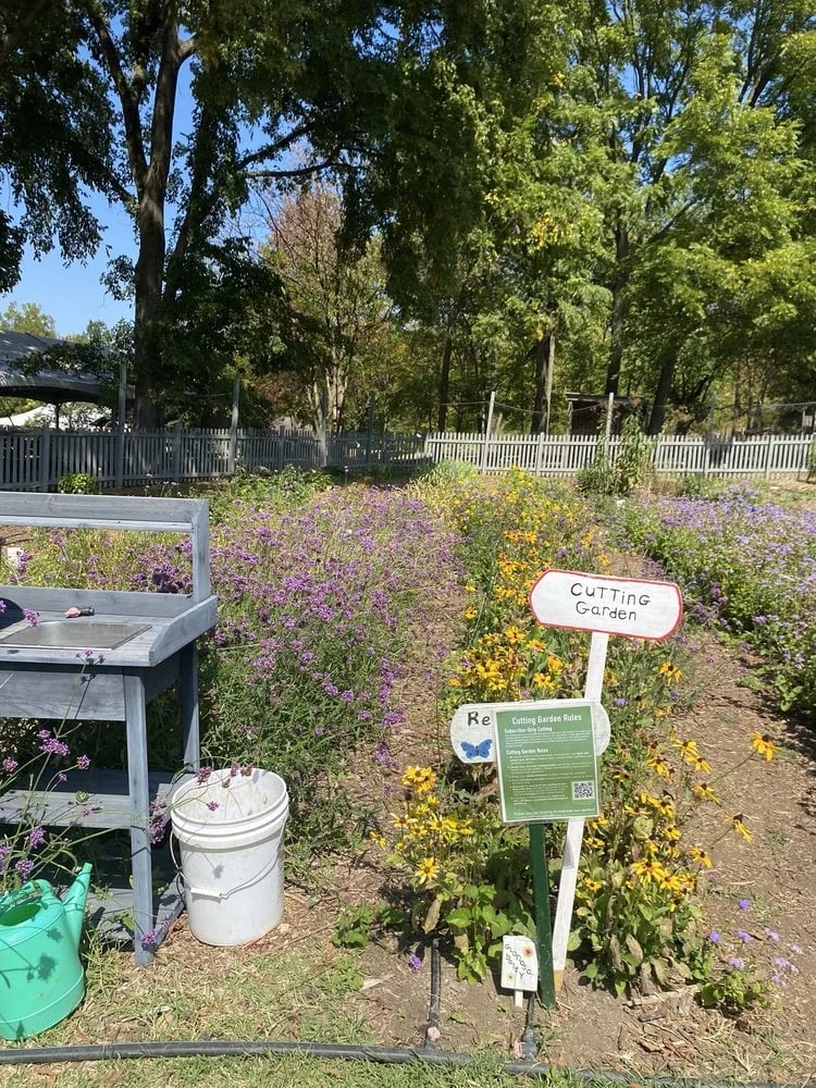 Gorman Heritage Farm image