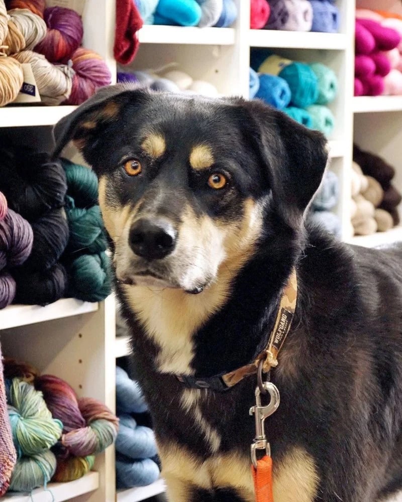 ImagiKnit image