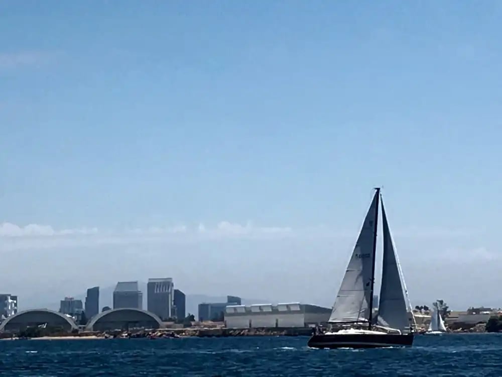 San Diego Seal Tour image