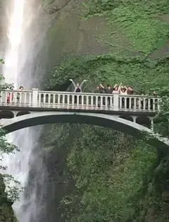 First Nature