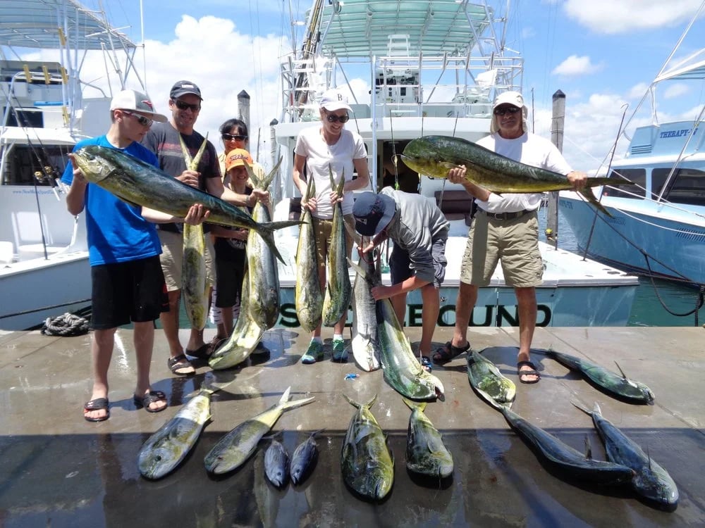 Reel Adventure Charters image