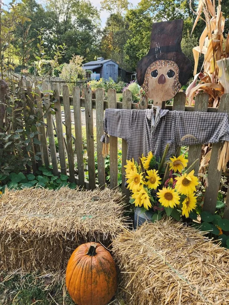 Gorman Heritage Farm image