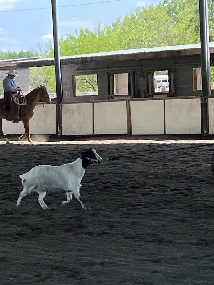 Lone Star Ranch & Rodeo image