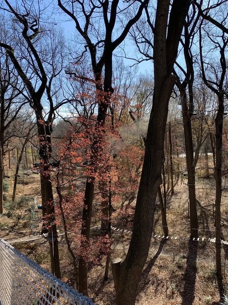 Treetop Quest Philly image