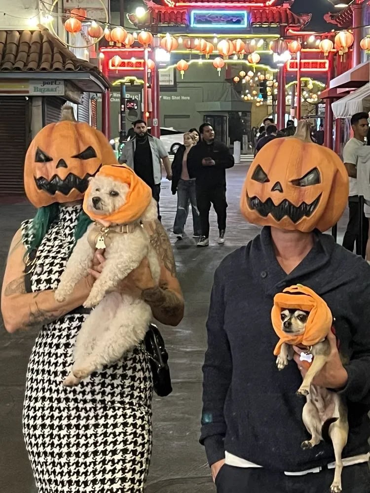 The Haunt Ghost Tours image