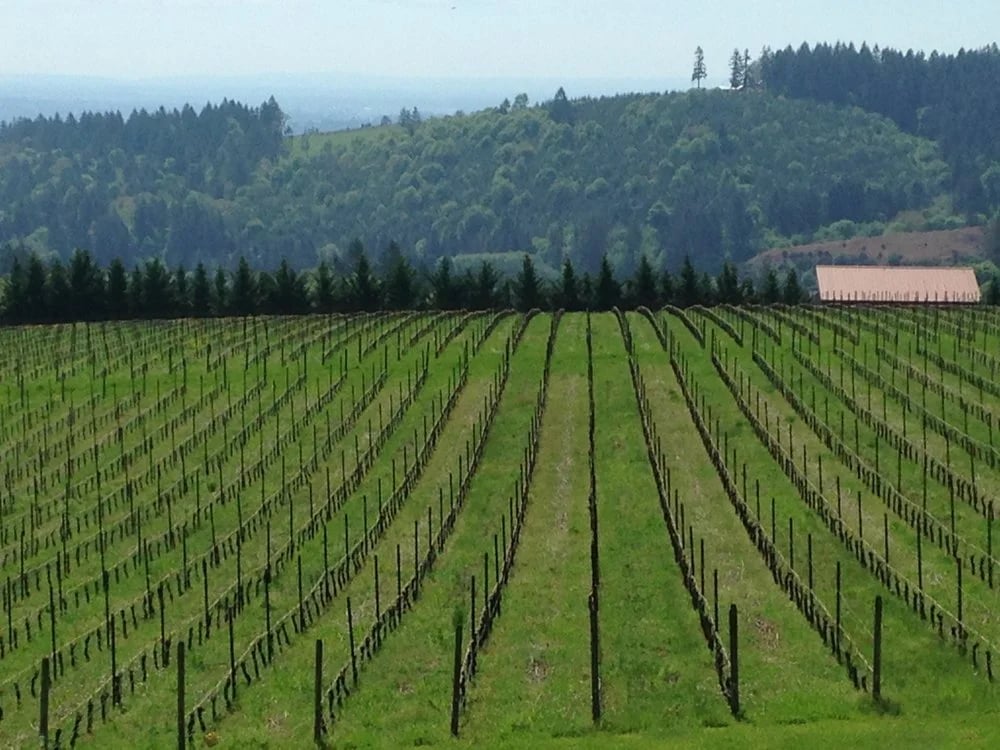 Oregon Wine Guides image