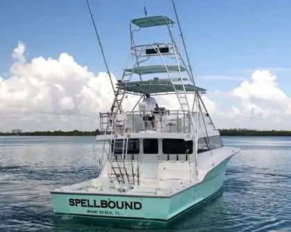 Reel Adventure Charters image