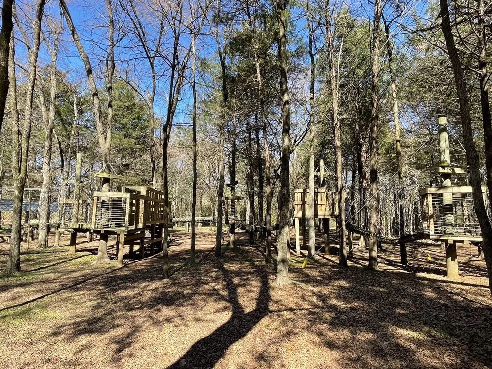 Trinity Forest Adventure Park image