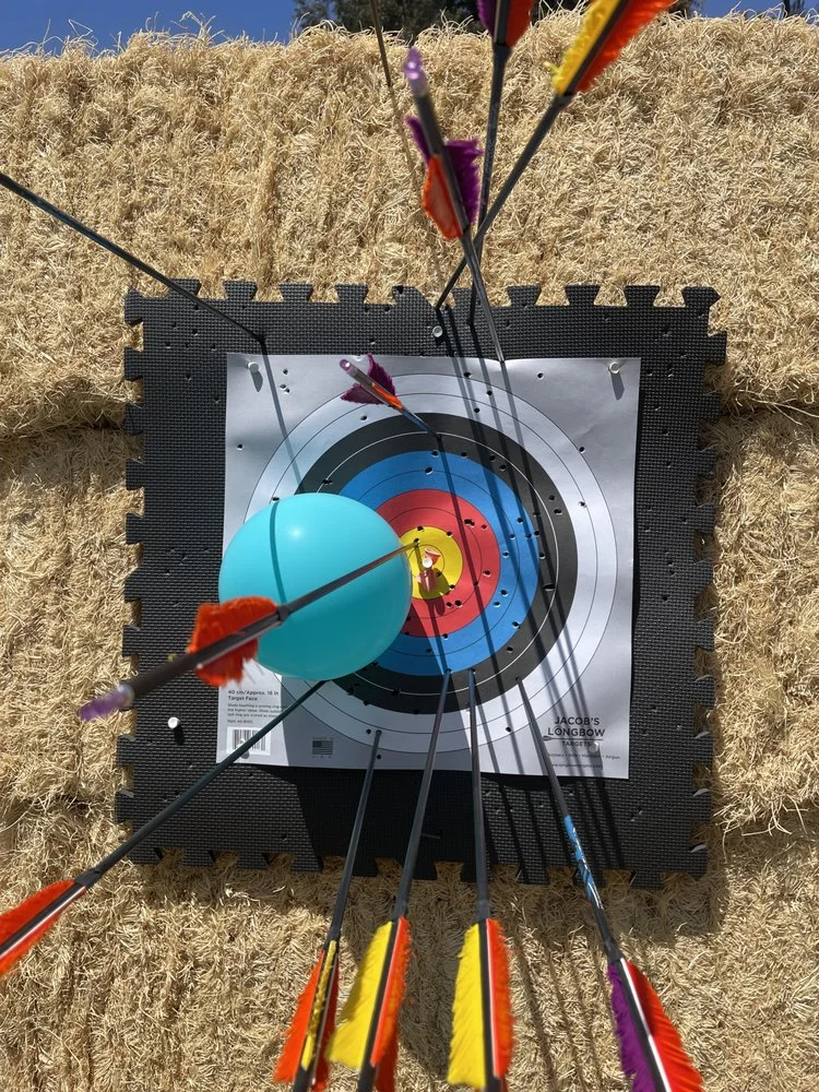 Area Archery image