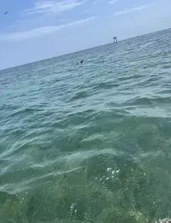 Miami Tours & Water Adventures