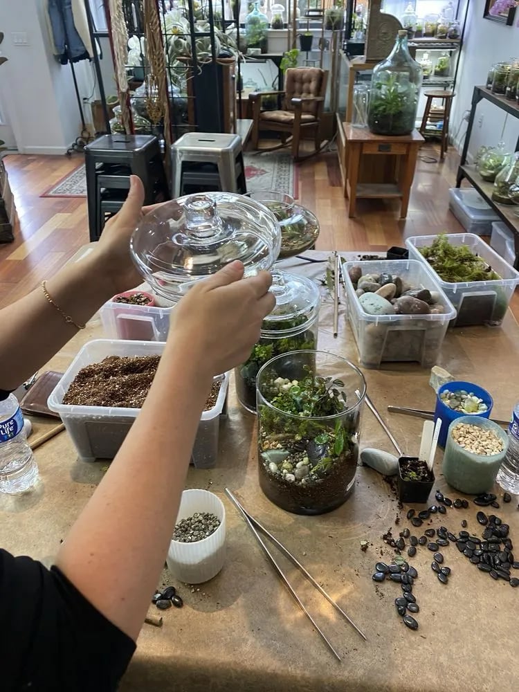 Roosevelt's Terrariums image