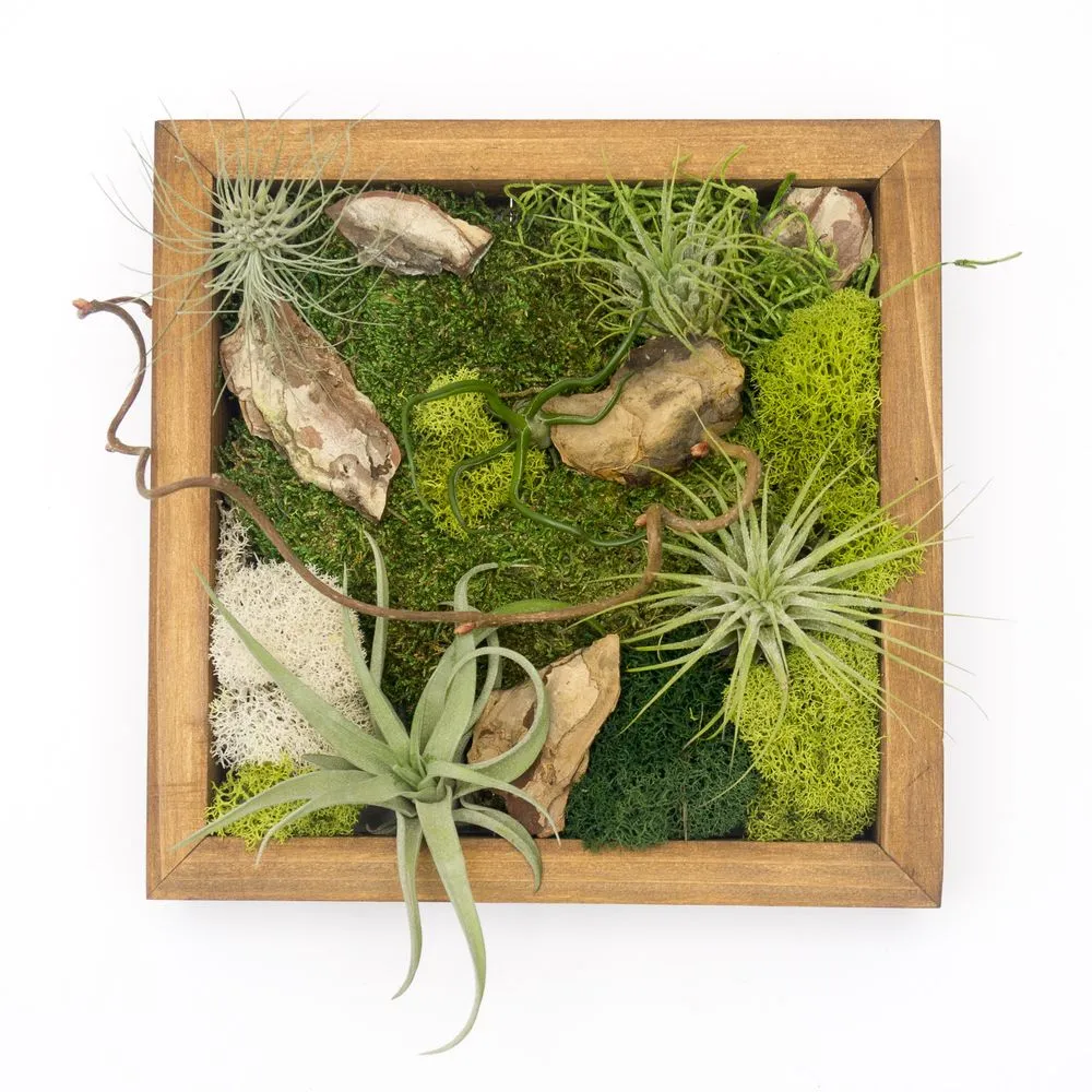 Fun With Plants image
