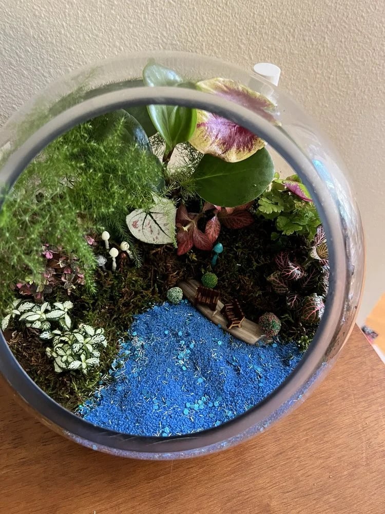 Urban Sprouts image