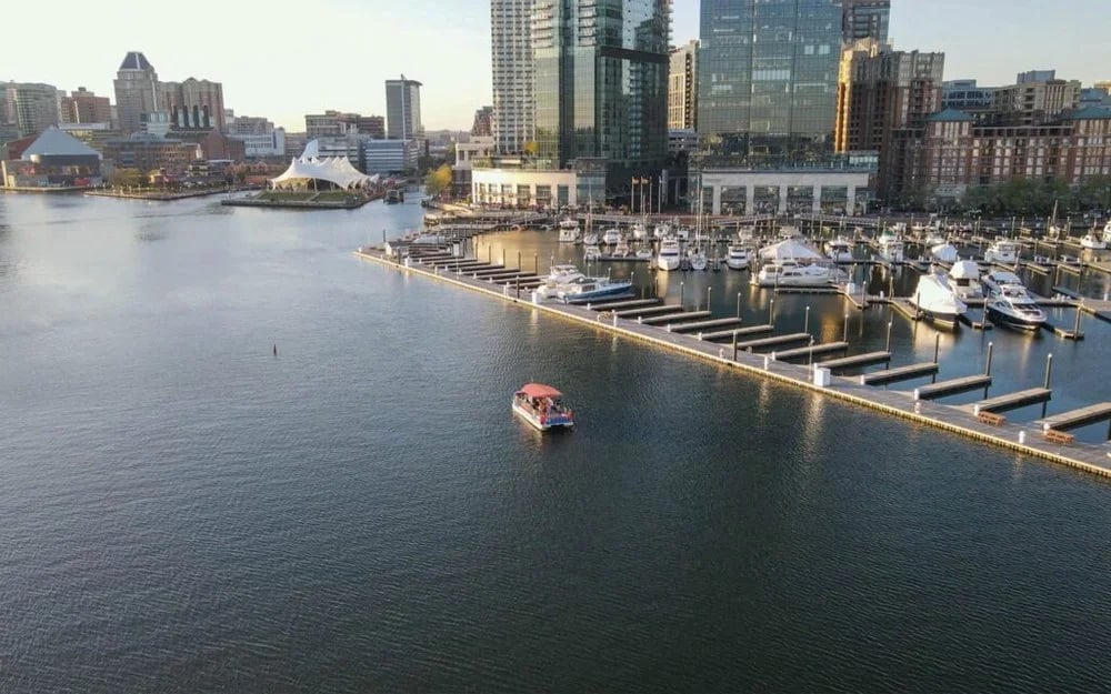 Paddle Club Baltimore image