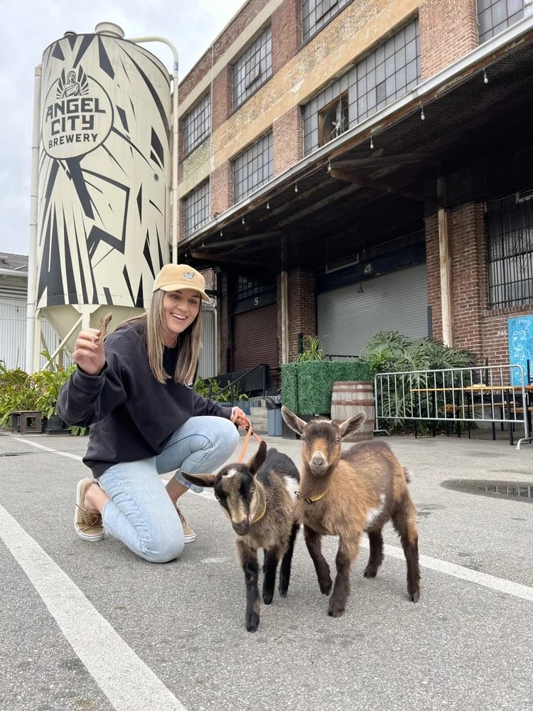 Hello Critter Goat Yoga image
