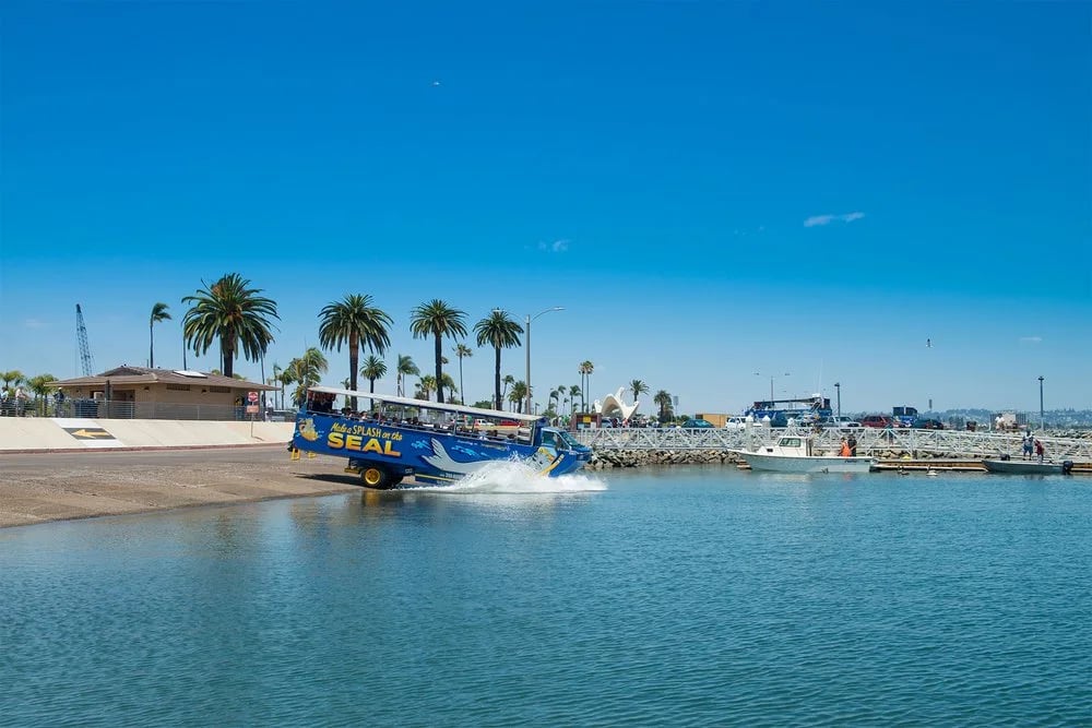 San Diego Seal Tour image
