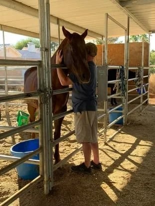 Horses4Heroes' The Ranch image