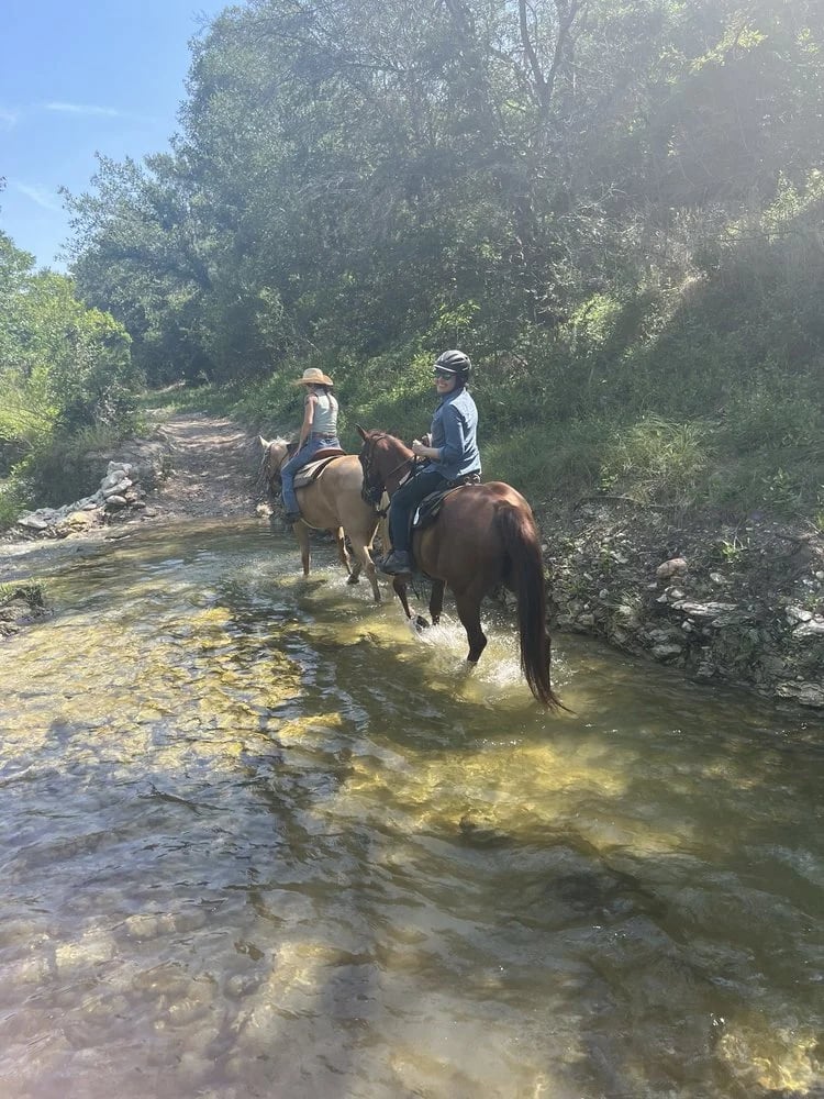 Lone Star Ranch & Rodeo image