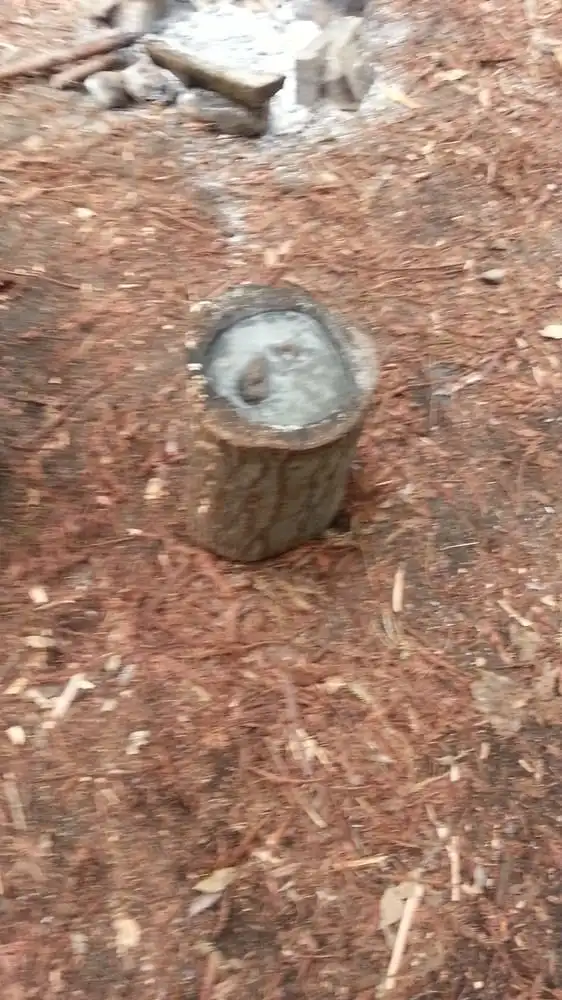 California Survival School image