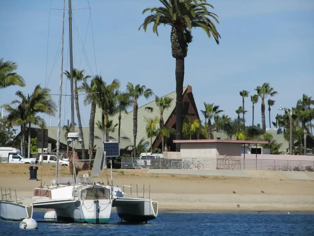San Diego Seal Tour image