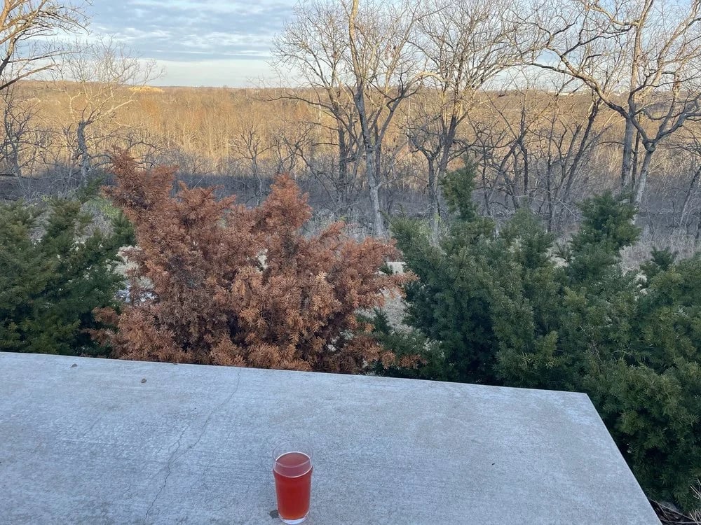 Yazoo Brewing Company image