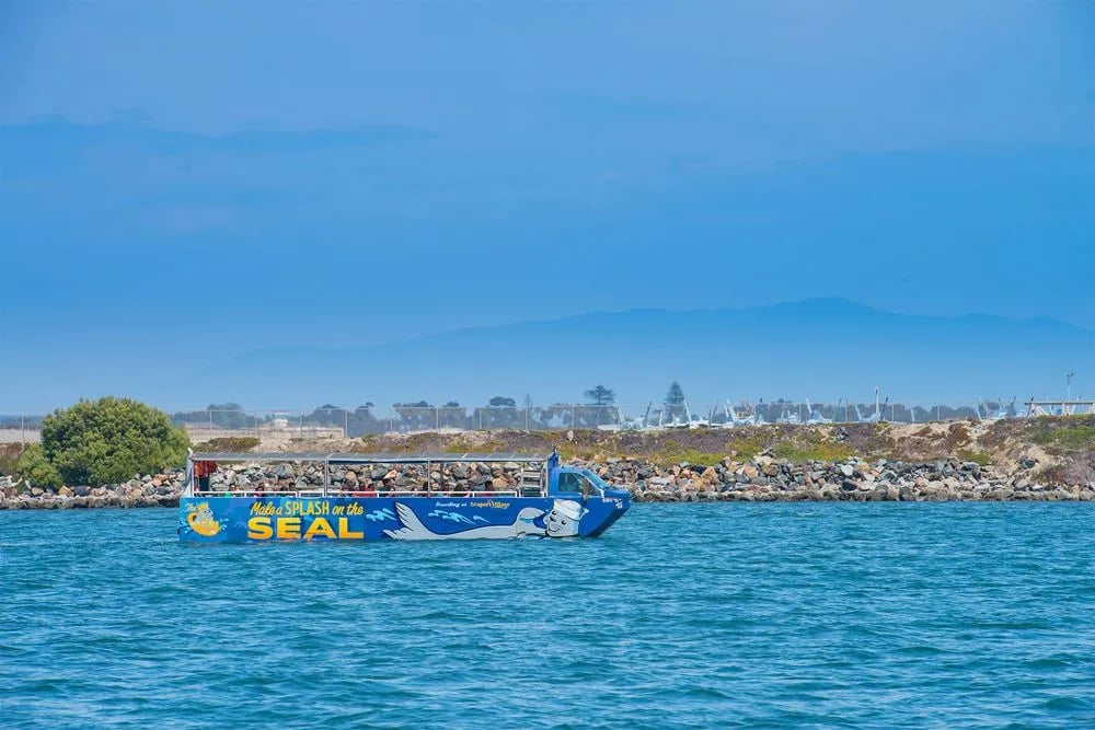 San Diego Seal Tour image