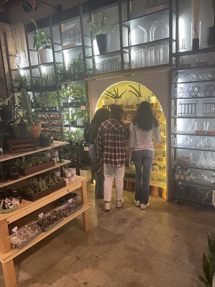 Urban Sprouts image