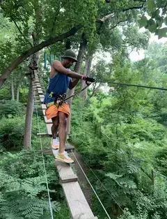 Treetop Quest Philly