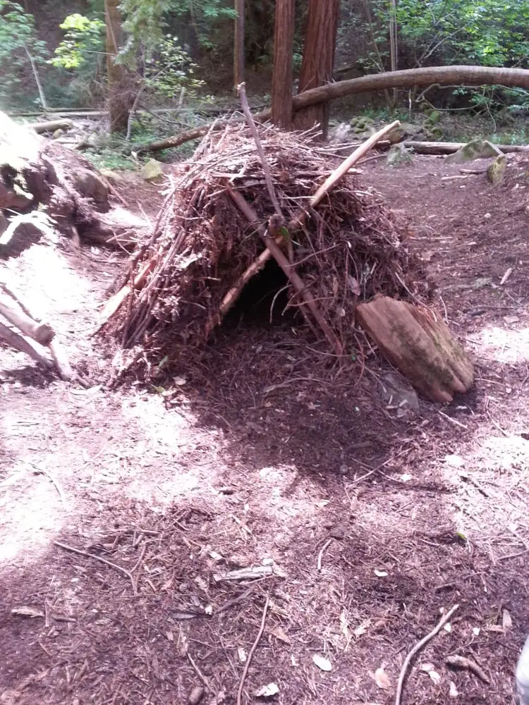California Survival School image