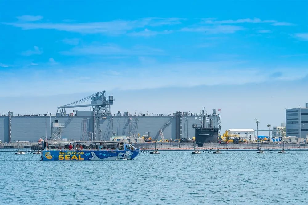 San Diego Seal Tour image